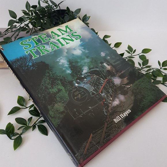 Book Steam Trains by Bill Hayes Galahad Books Travel History Railroad Railway - Picture 4 of 9